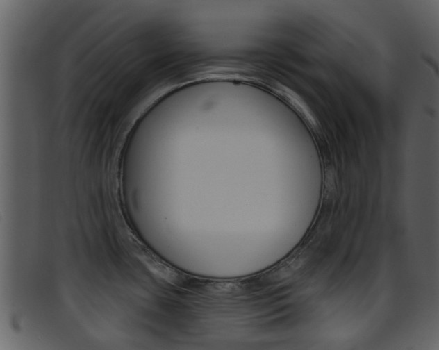 X0000096661435200802050946