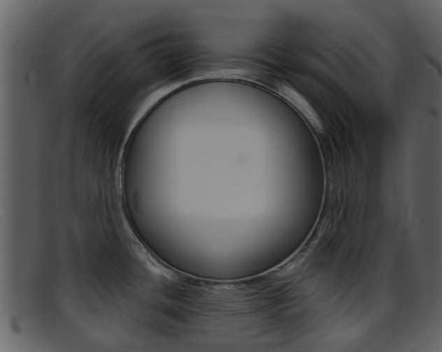 X0000096661436200802050946