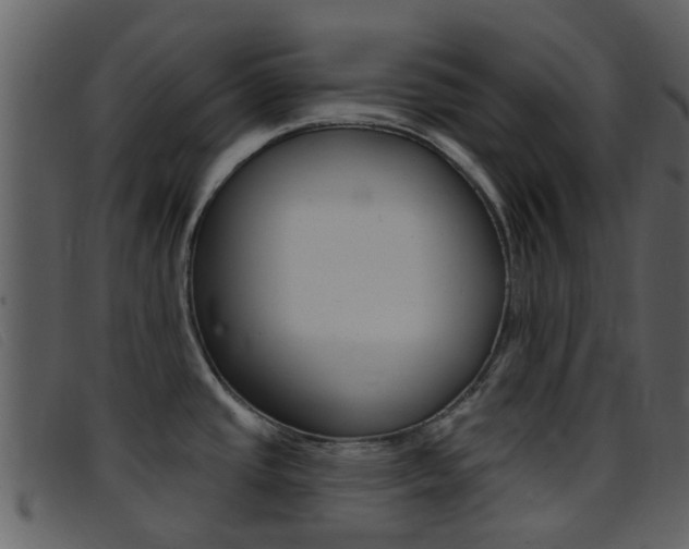 X0000096661437200802050946