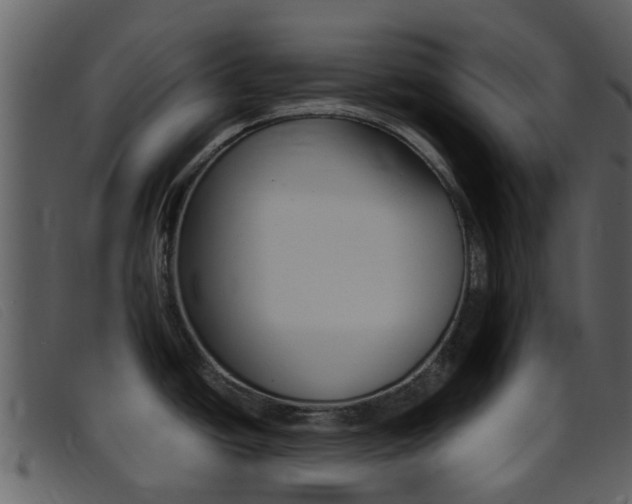 X0000096661438200802050946