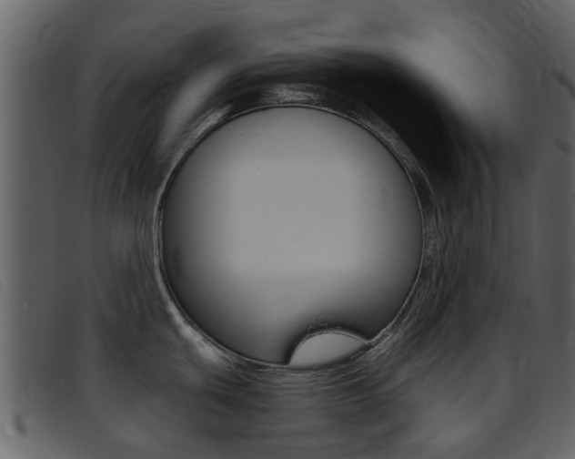 X0000096661439200802050947