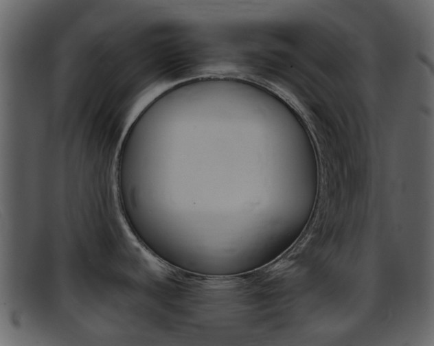 X0000096661440200802050947