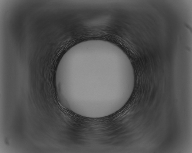 X0000096661441200802050946