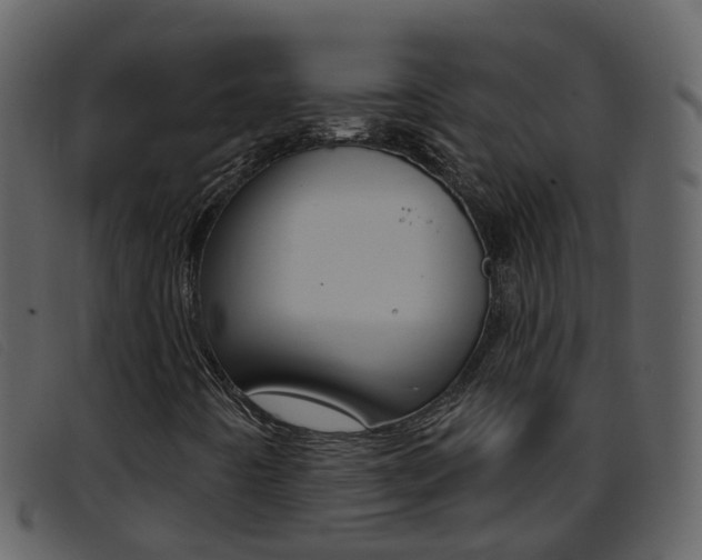 X0000096661442200802050946