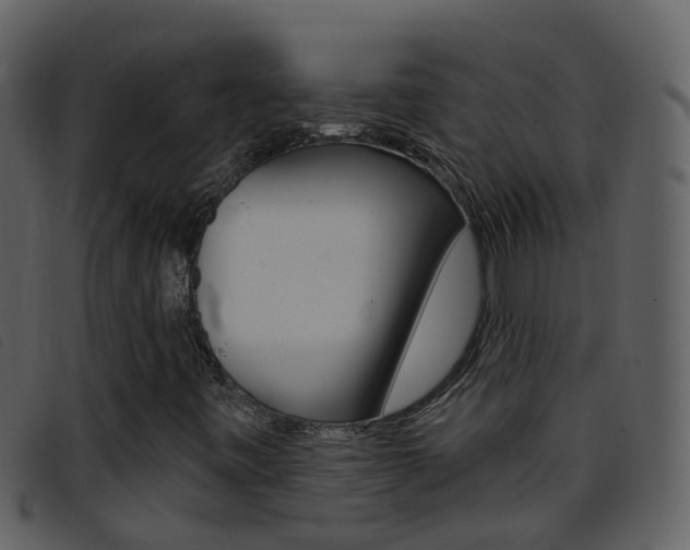 X0000096661443200802050946
