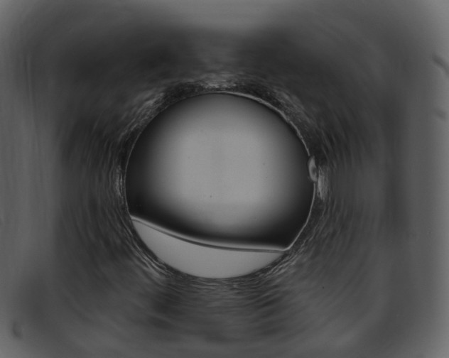 X0000096661444200802050946