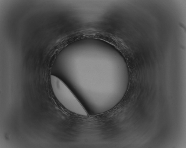 X0000096661445200802050946