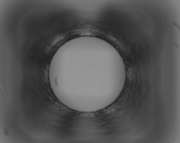 X0000096661446200802050946
