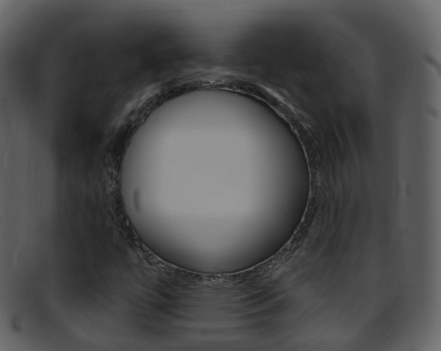 X0000096661447200802050946