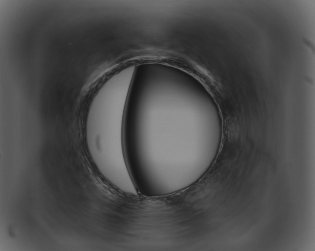 X0000096661448200802050946