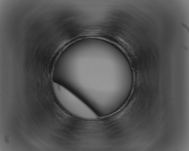 X0000096661449200802050946