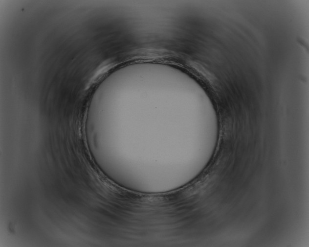 X0000096661451200802050946