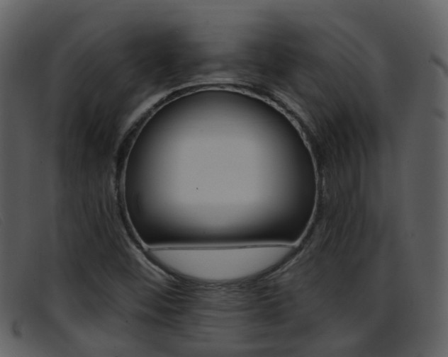 X0000096661452200802050946