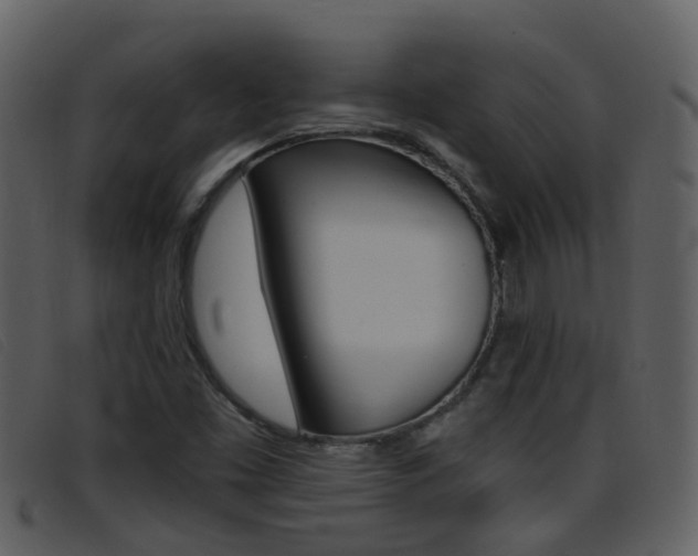 X0000096661453200802050946