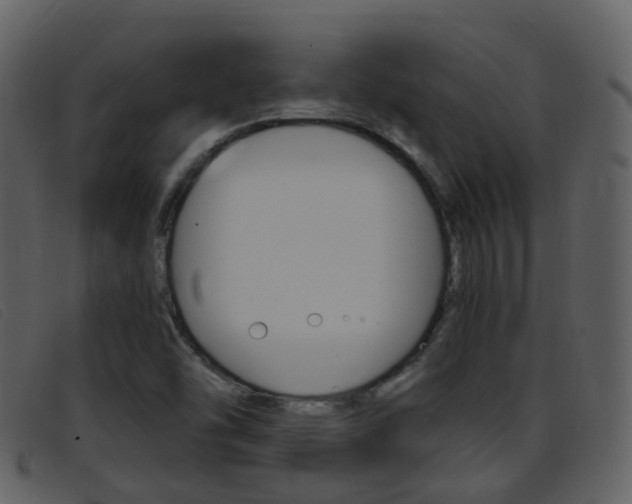 X0000096661454200802050946