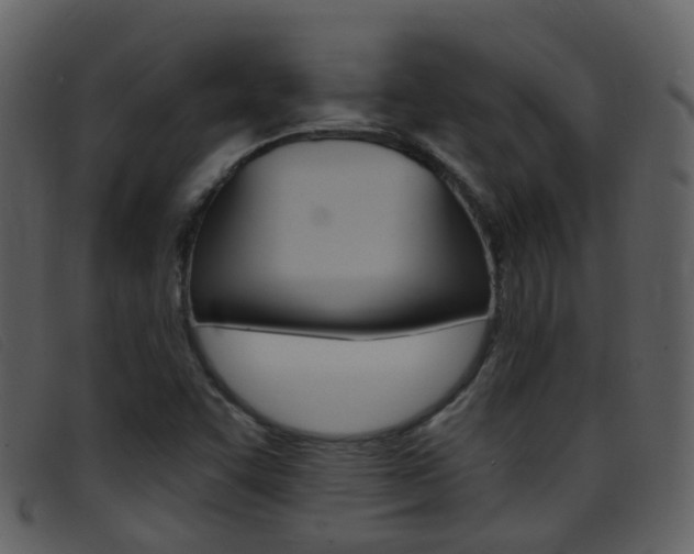 X0000096661455200802050946