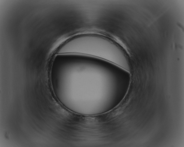 X0000096661456200802050945