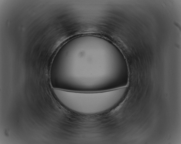 X0000096661457200802050945
