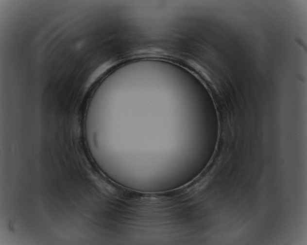 X0000096661458200802050945