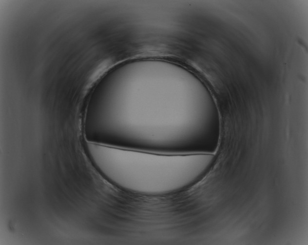 X0000096661459200802050945