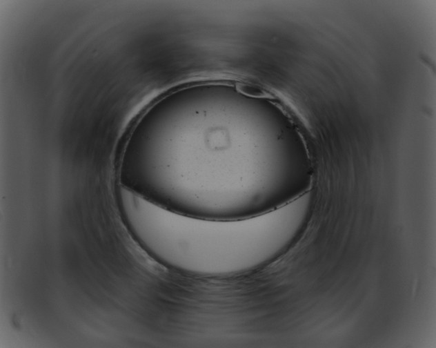 X0000096661460200802050945
