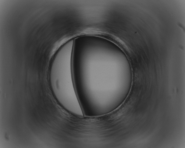 X0000096661461200802050945