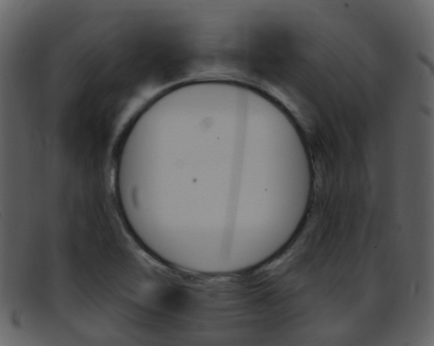 X0000096661462200802050945