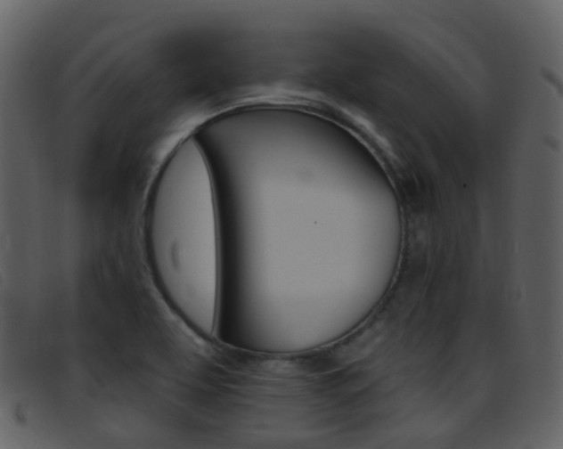 X0000096661463200802050945