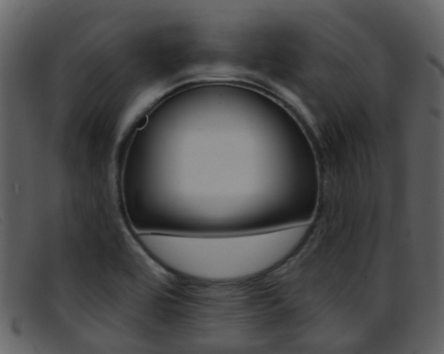 X0000096661464200802050945