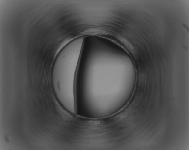 X0000096661465200802050945