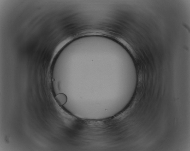 X0000096661466200802050945