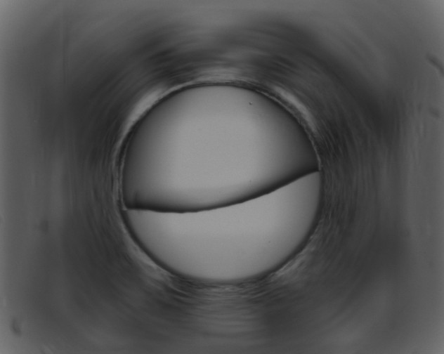X0000096661467200802050945