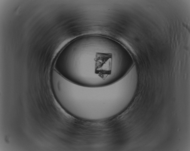 X0000096661468200802050945