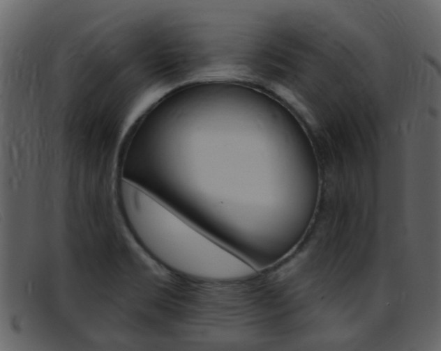 X0000096661469200802050945