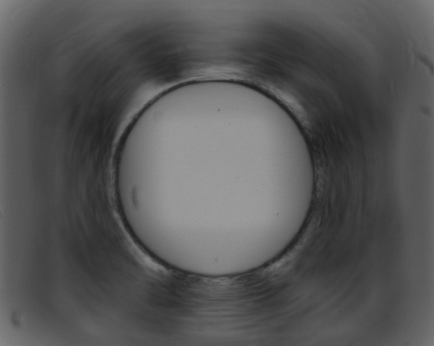 X0000096661470200802050945