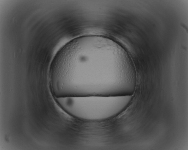 X0000096661471200802050945