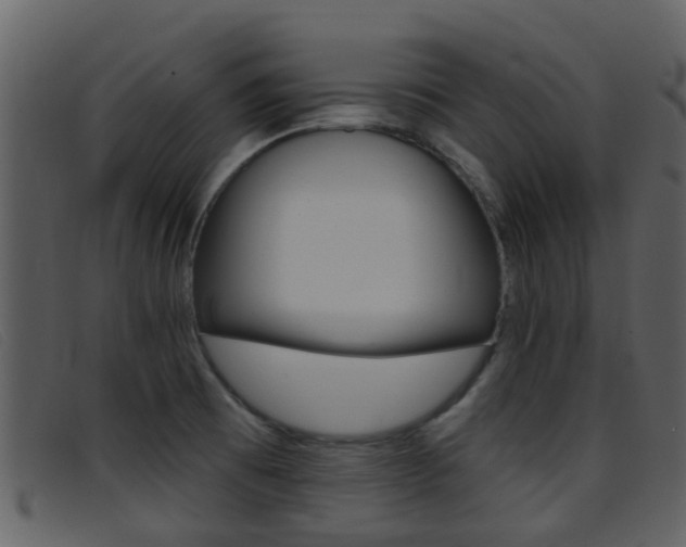 X0000096661473200802050945
