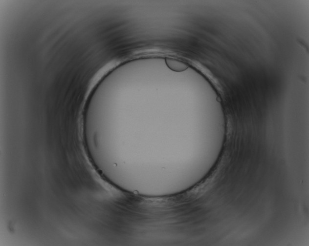 X0000096661474200802050945