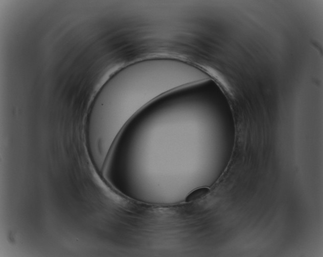 X0000096661476200802050945