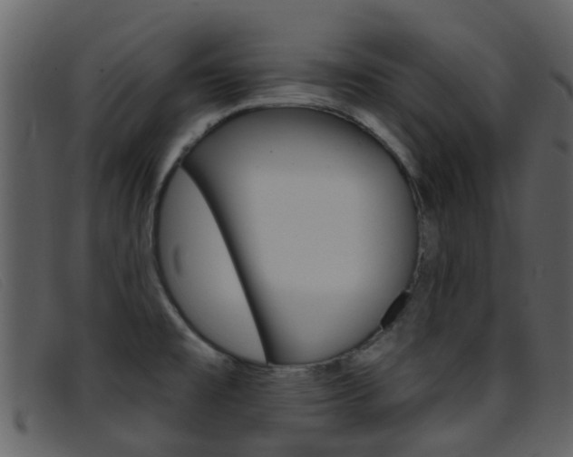 X0000096661477200802050945