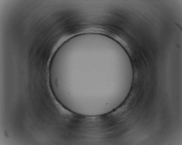 X0000096661478200802050945