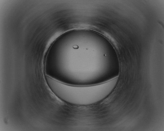 X0000096661480200802050945