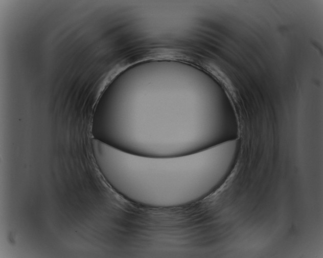 X0000096661481200802050945