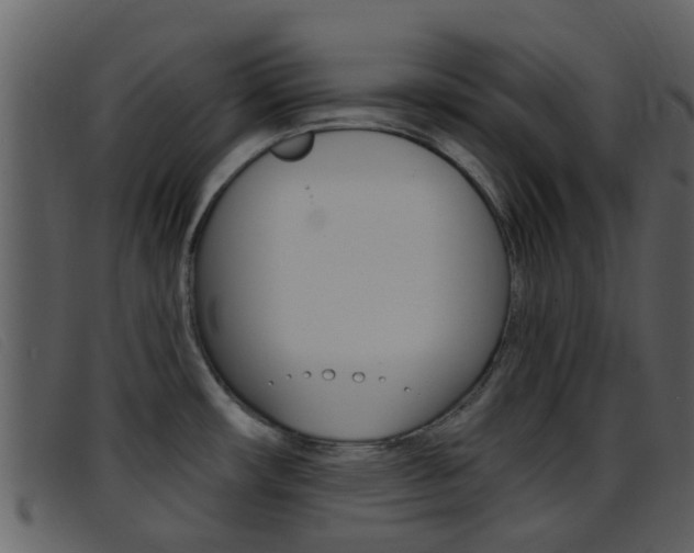 X0000096661482200802050945