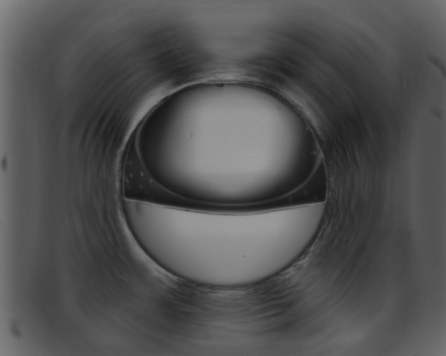 X0000096661483200802050945