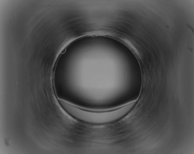X0000096661484200802050945