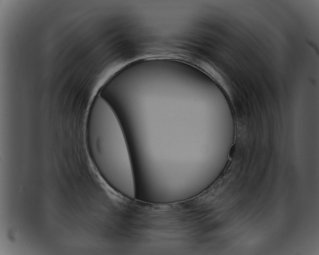 X0000096661485200802050945