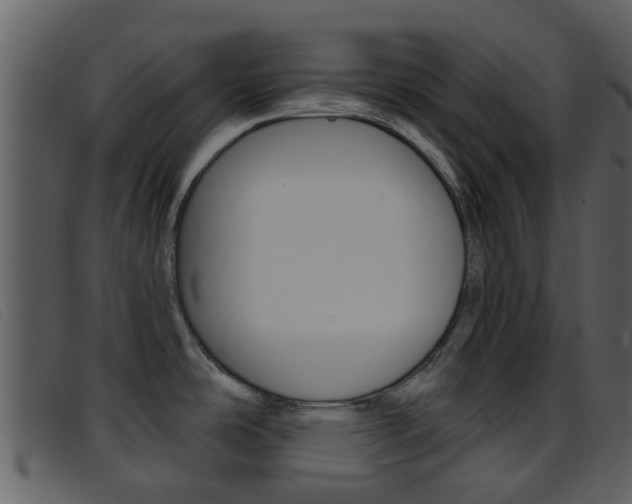 X0000096661486200802050945