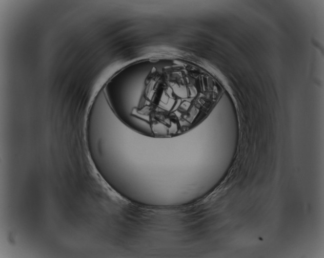 X0000096661488200802050945
