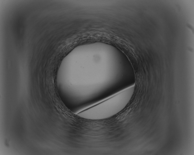 X0000096661489200802050944